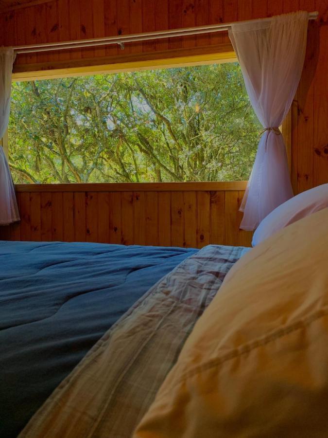 Cabana Vivenda Villa São Francisco de Paula Exteriör bild